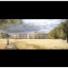 Apple Campus 2 - Der Park - © Apple Inc. - Foster + Partners thumbnail